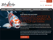 Tablet Screenshot of blueridgekoi.com